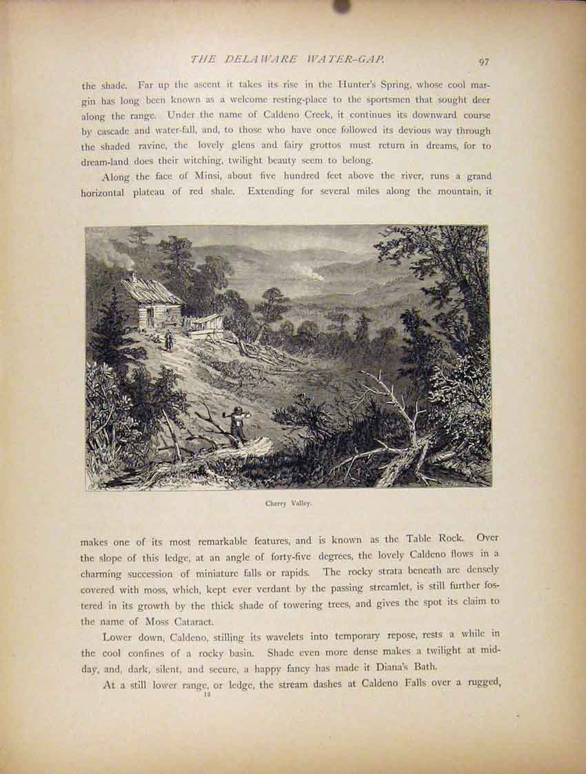 Original Old Antique Print C1872 Wood Engraving Cherry Valle Delaware Water Gap