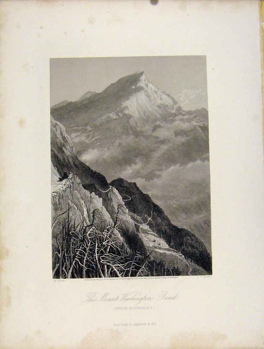 Original Old Antique Print Mount Washington Road White Mountains