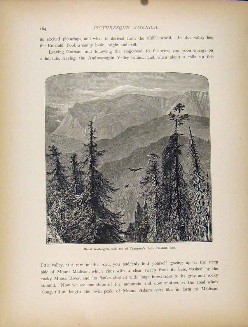 Original Old Antique Print Mount Washington Thompsons Falls Pinkham Pass