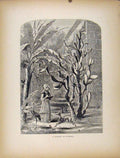 Original Old Antique Print Garden Florida Fine Art C1872 Lady 19th