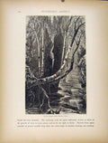 Original Old Antique Print Cavern Cascade Mountain House Engraving
