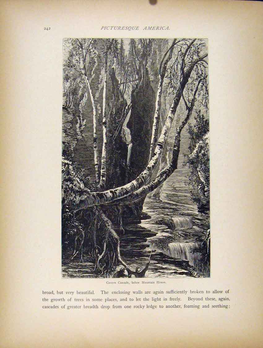 Original Old Antique Print Cavern Cascade Mountain House Engraving