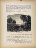 Original Old Antique Print Southwest Pass Wood Engraving Fine Art