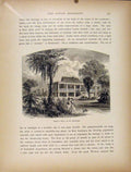 Original Old Antique Print C1872 Wood Engraving Sunset Mississippi Swamp 19th