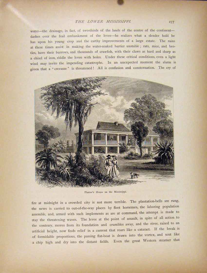 Original Old Antique Print C1872 Wood Engraving Sunset Mississippi Swamp 19th