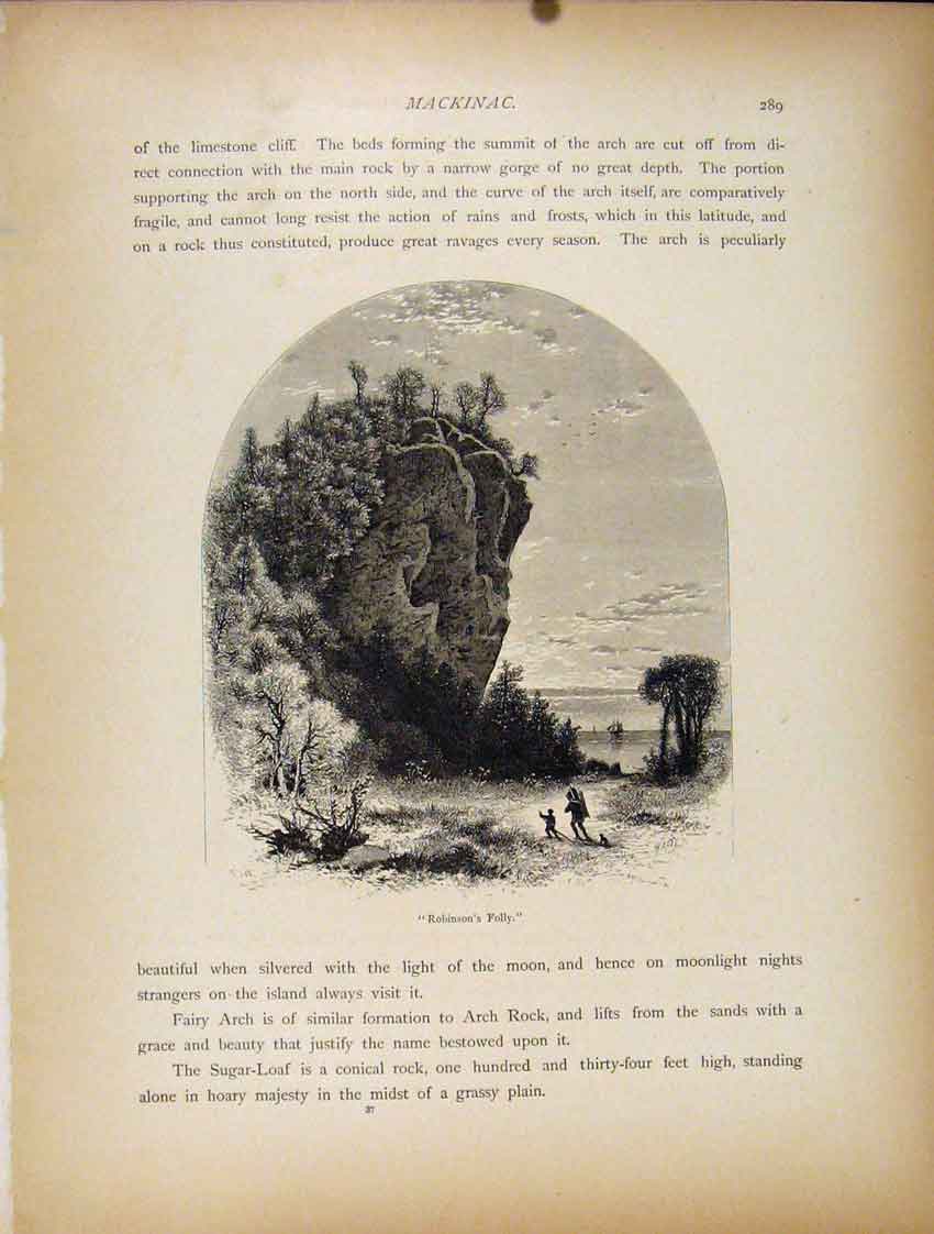 Original Old Antique Print Mackinac Robinsons Folly Engraving Art