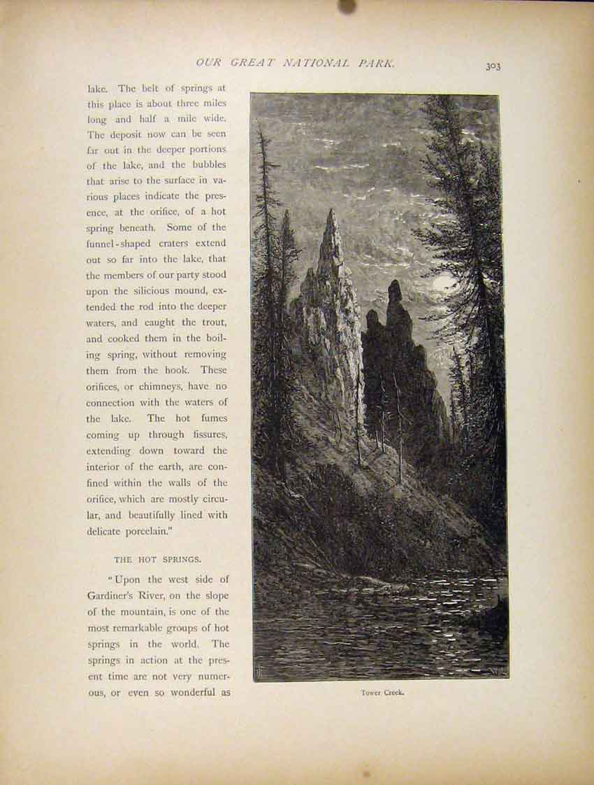 Original Old Antique Print Wood Engraving 1872 Tower Creek National Park 19th
