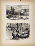 Original Old Antique Print New River Sycamore Wood Engravings Art