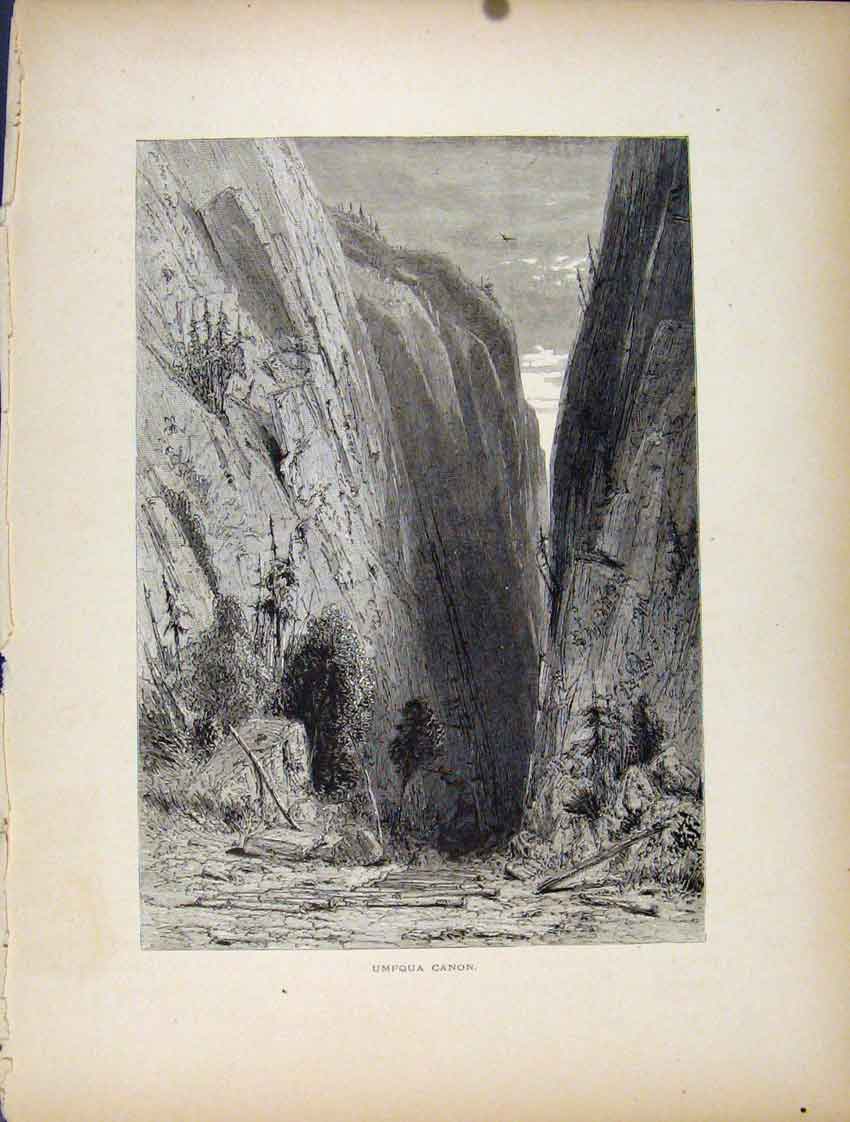 Original Old Antique Print Fine Art Umpqua Canon C1872 George 19th