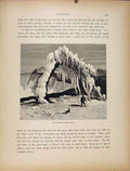 Original Old Antique Print Wood Engraving Tree Crushed Frozen Spray Art