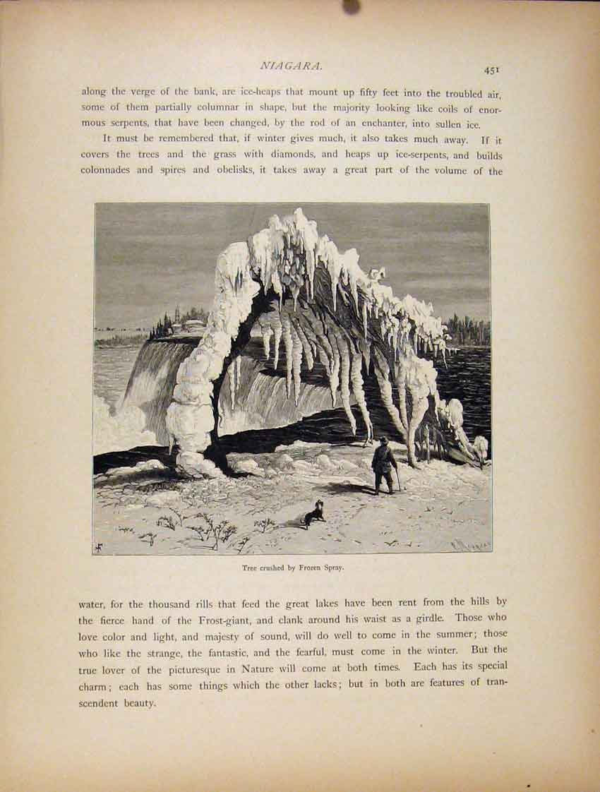 Original Old Antique Print Wood Engraving Tree Crushed Frozen Spray Art