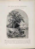 Original Old Antique Print Fine Art Engravings Connecticut Valley