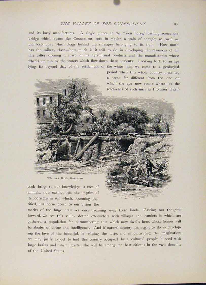 Original Old Antique Print Wood Engraving Whetstonebrook Brattleboro
