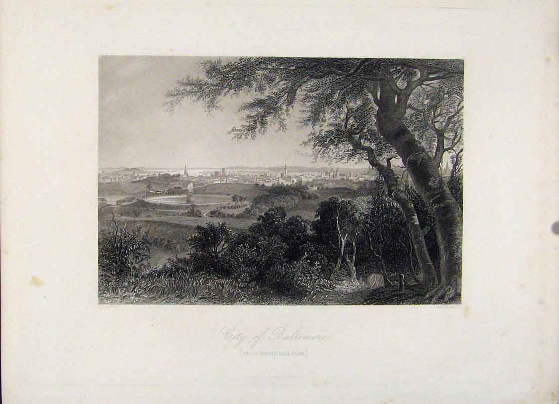Original Old Antique Print City Baltimore Druir Hill Park Engraving
