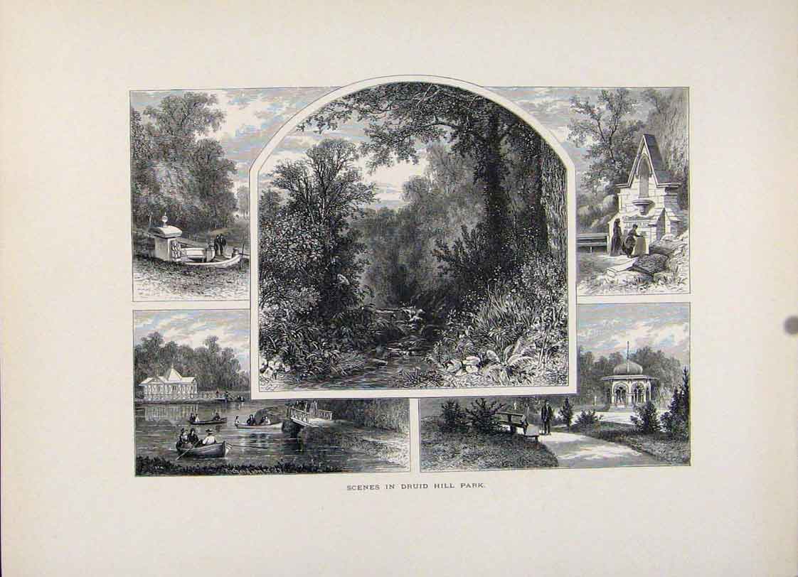 Original Old Antique Print Druif Hill Prak Fine Art C1872 Wood Engraving 19th