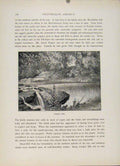 Original Old Antique Print Hampden Falls Wood Engraving Fine Art