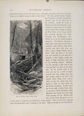 Original Old Antique Print Rip Van Winkle House Catskill Road Wood Engraving