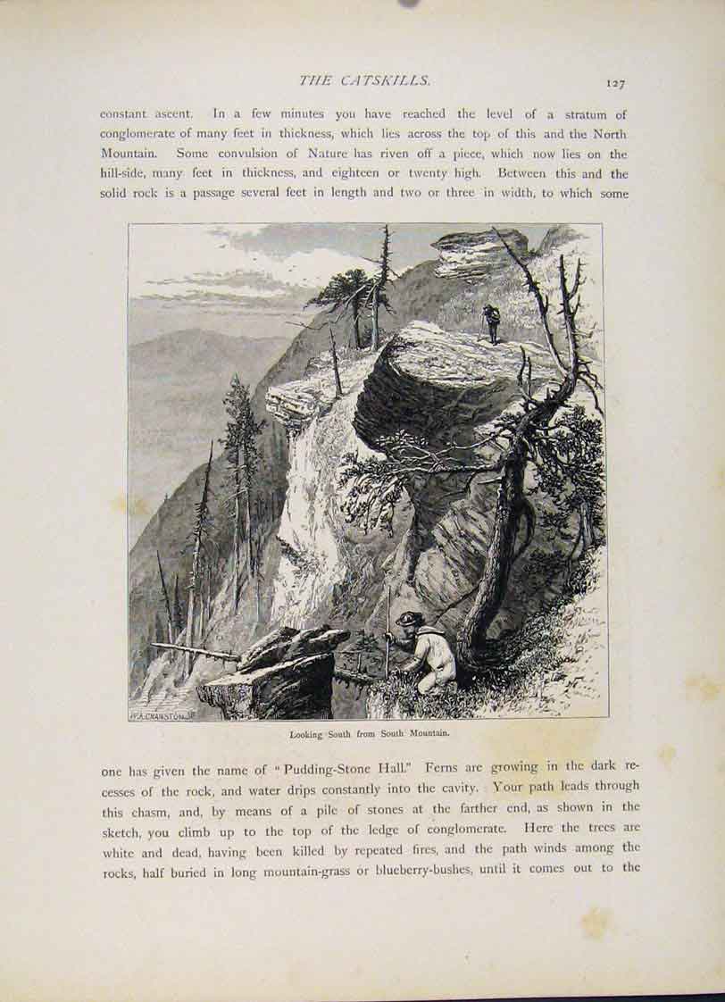 Original Old Antique Print Fine Art Wood Engraved Catskill Clove