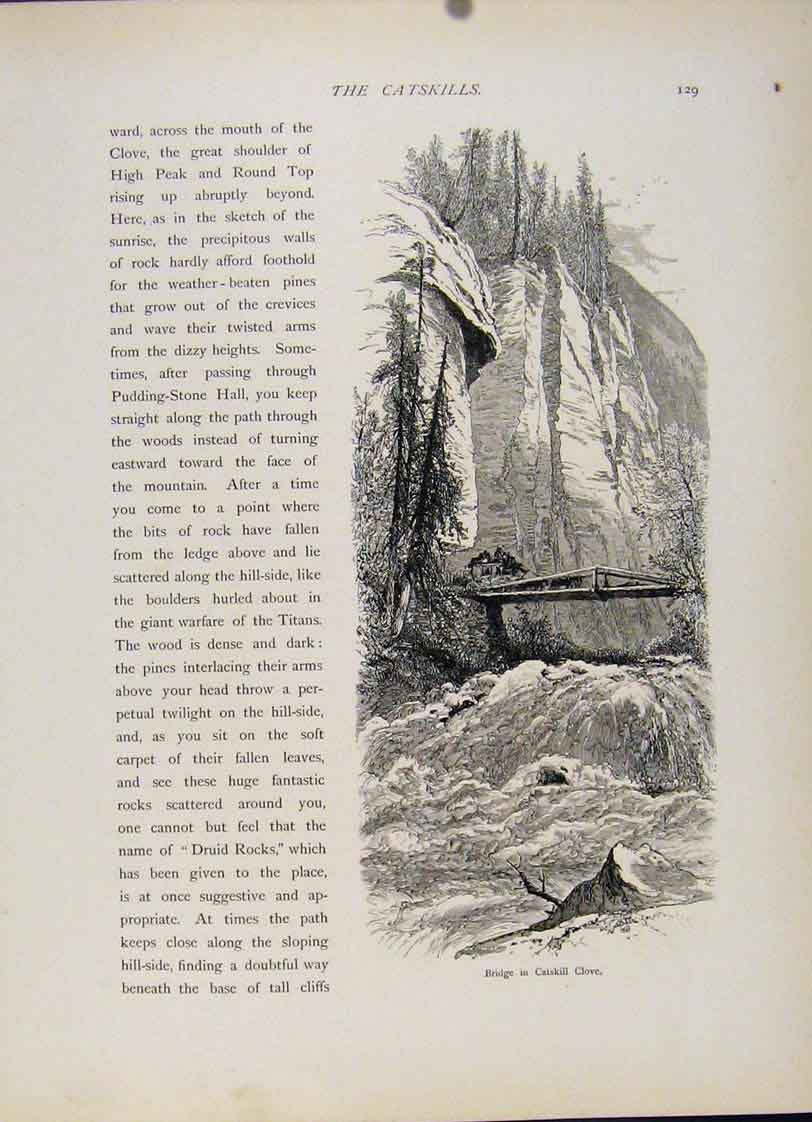 Original Old Antique Print Bridge Catskill Clove Wood Engraving Art