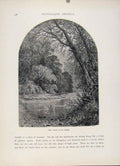 Original Old Antique Print Wood Engraved Art Moss Islands Juniata C1872 19th