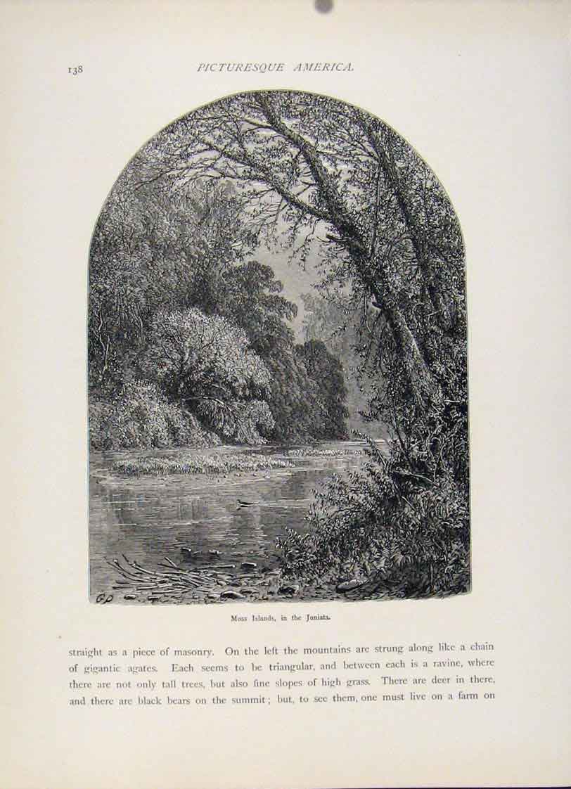 Original Old Antique Print Wood Engraved Art Moss Islands Juniata C1872 19th