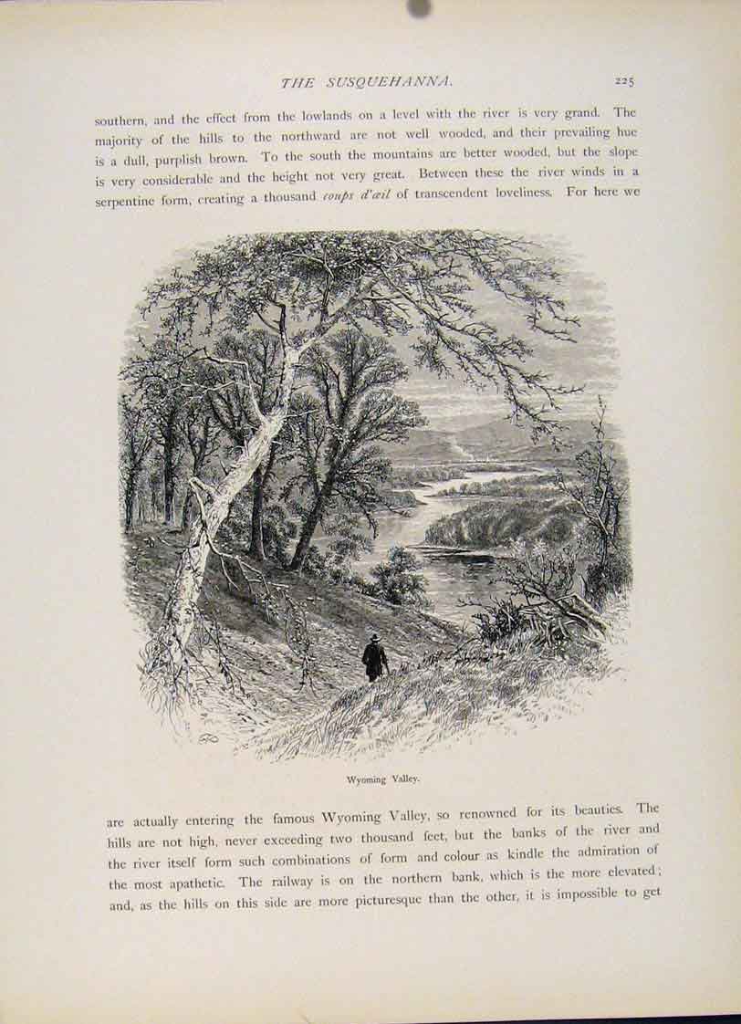 Original Old Antique Print Wyoming Valley Engraved Wood Fine Art C1872 Victorian