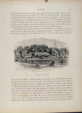 Original Old Antique Print Public Garden Boston Fine Art Wood Engraving 1872