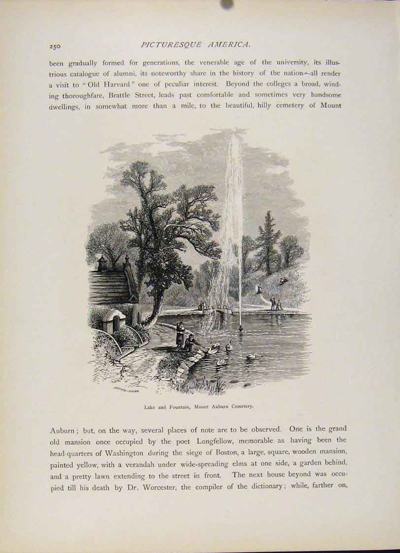 Original Old Antique Print Lake Fountain Mount Auburn Cemetery Engraving