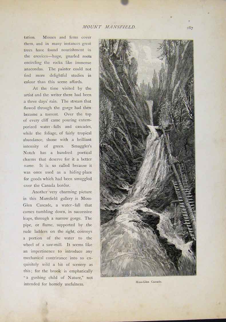 Original Old Antique Print Moss Glen Cascade Wood Engraving Fine Art