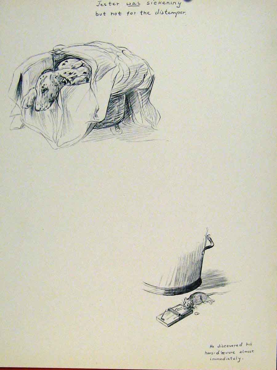 Original Old Antique Print Rat Mice Dog Hound Pet Sketching Etching Art