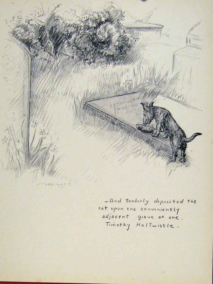 Original Old Vintage Print Sketch Drawing Art C1938 Dog Hound Animal Ropet 20th