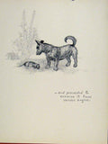 Original Old Vintage Print Dog Hound Examination Pet Animal Sketch C1938 20th