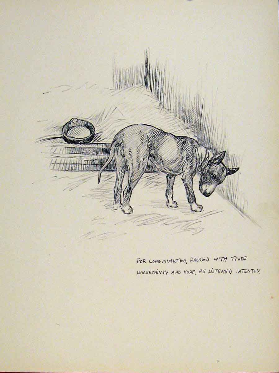 Original Old Vintage Print Etching Sketch Fine Art C1938 Dog Hound Pet 20th
