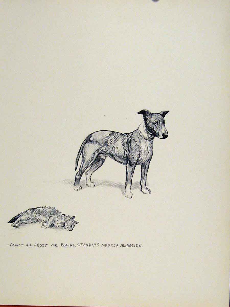 Original Old Vintage Print Dog Hound Sektch Art Drawing C1938 Animal Pet 20th