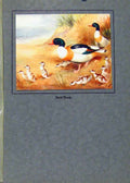 Original Old Vintage Print Color Fine Art Sheld Ducks Birds 1923 20th Century