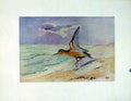 Original Old Antique Print Buff Breasted Sandpiper Color Fine Art