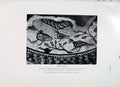 Original Old Vintage Print Pheastant Mosaic Fine Art C1957 Pavement Rome 20th