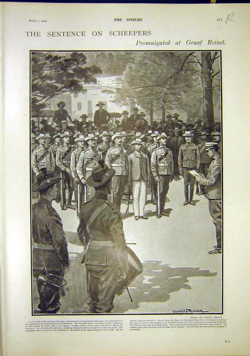 Old Antique Print Scheepers Graaf Reinet Africa Boer Coronation Robe 1902 20th