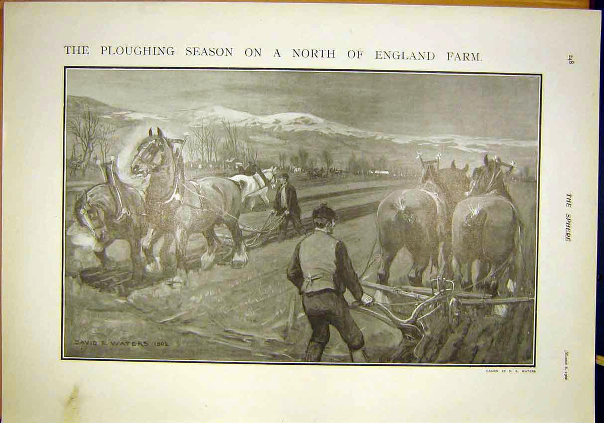 Original Old Antique Print Ploughing Season Farm England Horse Plough 1902 20th