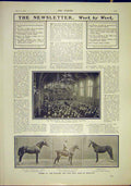 Old Antique Print Whitworth Hall Manchester Horses Hunters Polo Show 1902 20th