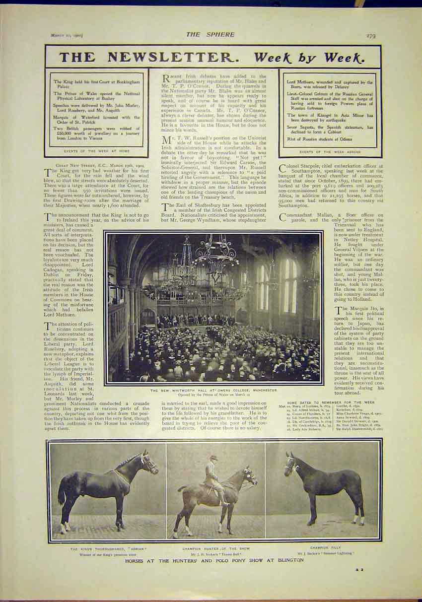 Old Antique Print Whitworth Hall Manchester Horses Hunters Polo Show 1902 20th