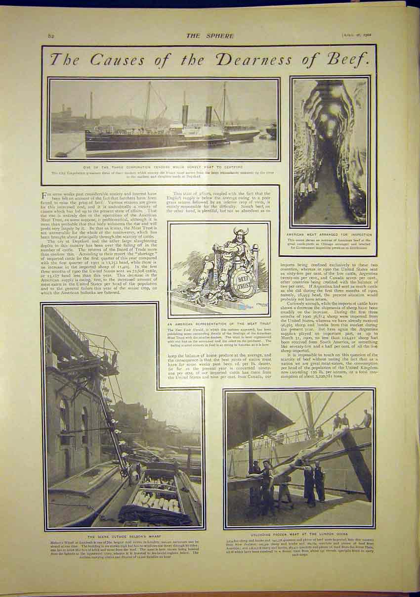 Original Old Antique Print Beef Deptford Corporation Tender Meat 1902 20th