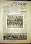 Original Old Antique Print Coronation Royal Horses Cattle Show Reading 1902 20th