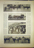 Original Old Antique Print Ascot Horse Races Procession Royal Winner 1902 20th
