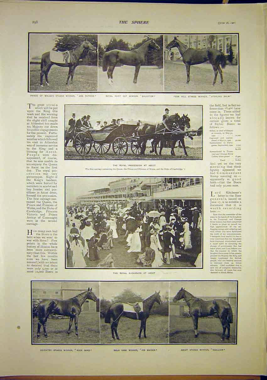 Original Old Antique Print Ascot Horse Races Procession Royal Winner 1902 20th