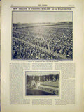Old Antique Print Ireland Holland Bulb-Grower Tulips Cork Exhibition 1902 20th