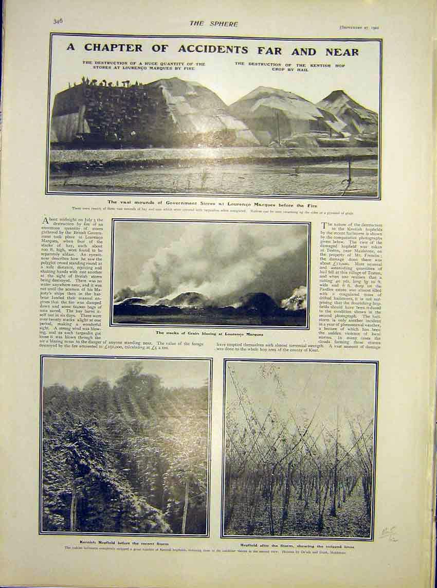 Old Antique Print Kentish Hop Crop Hail Fire Lourenco Marques Storm 1902 20th