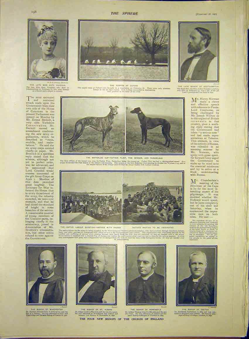 Original Old Antique Print Portrait Bishop Vaughan Torpid Hounds Natives 1903