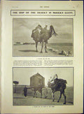 Original Old Antique Print Ship Desert Camel Egypt Amercian Coast-Defence 1903
