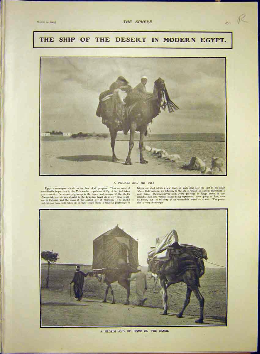 Original Old Antique Print Ship Desert Camel Egypt Amercian Coast-Defence 1903